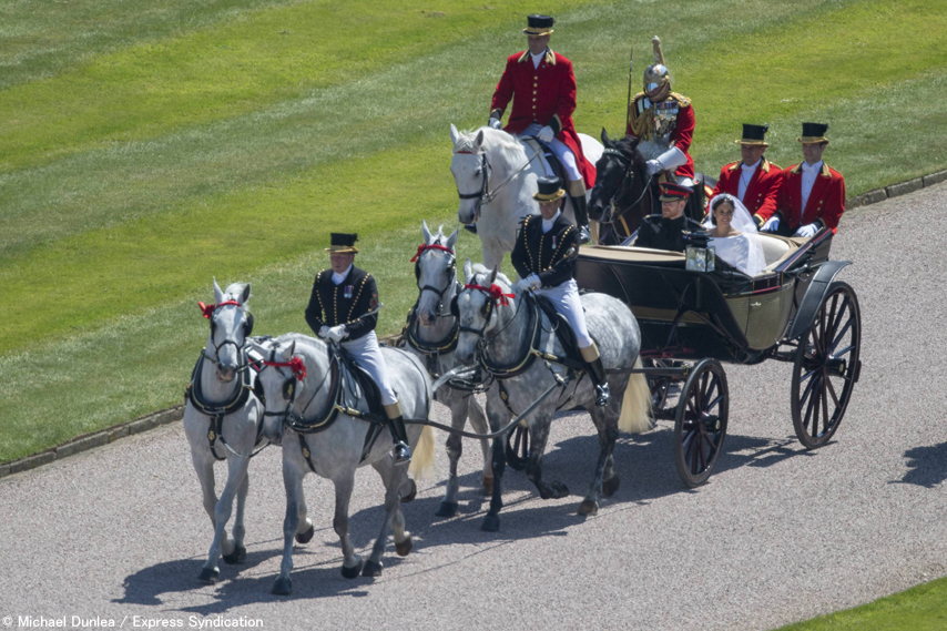 OKJ.Royal wedding.2.6_0.jpg